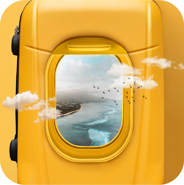 Mala de viagem com janela de avião